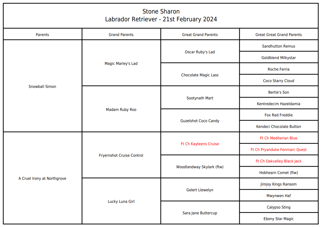 Empty dog pedigree chart template with designated spaces for ancestor information.