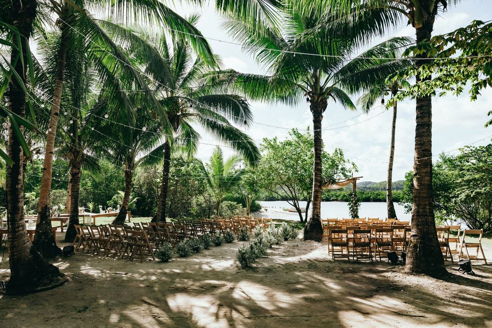 Panoramic view of a tropical beach wedding venue with palm trees and wooden chairs.