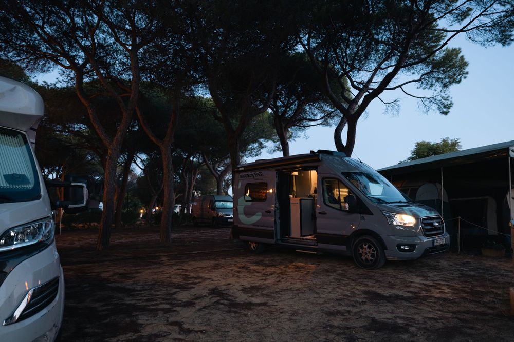 Campsite at dusk with RVs and trees silhouetted against the darkening sky.