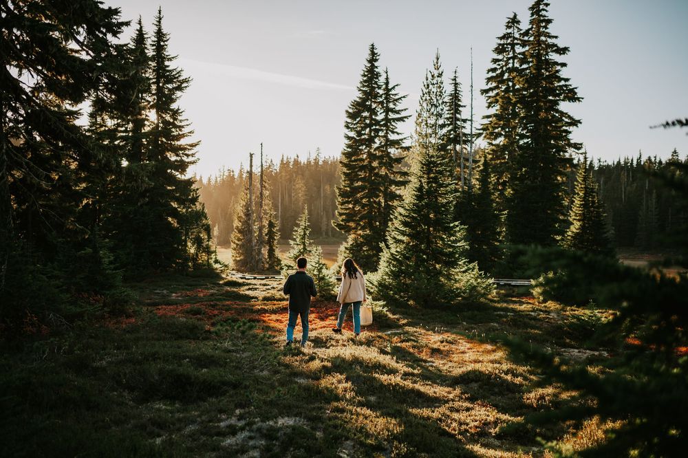 Engagement fall adventure photoshoot on Mt. Washington of couple walking in blueberries in Paradise Meadows Vancouver Island