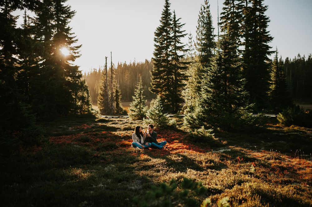 Engagement fall adventure photoshoot on Mt. Washington of couple sitting in blueberries in Paradise Meadows Vancouver Island