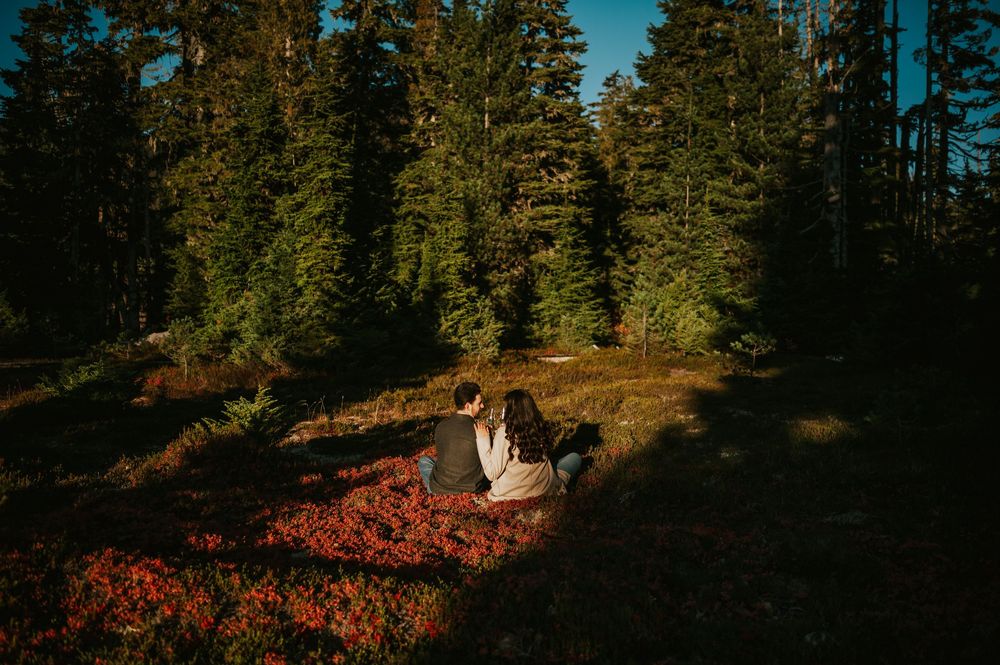 Engagement fall adventure photoshoot on Mt. Washington of couple sitting holding champagne in Paradise Meadows Vancouver Island