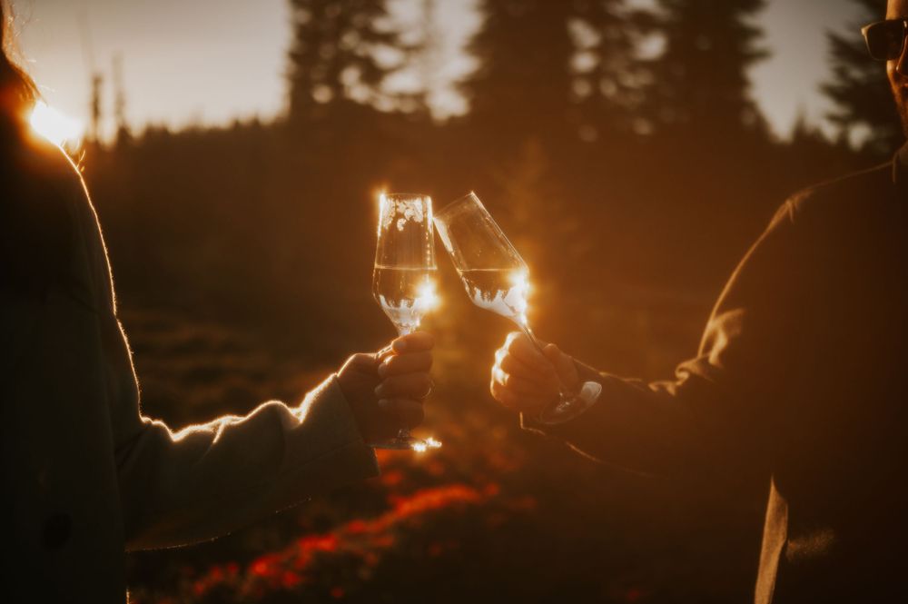 Film edit engagement fall adventure photoshoot on Mt. Washington of couple cheers champagne in Paradise Meadows Vancouver Island