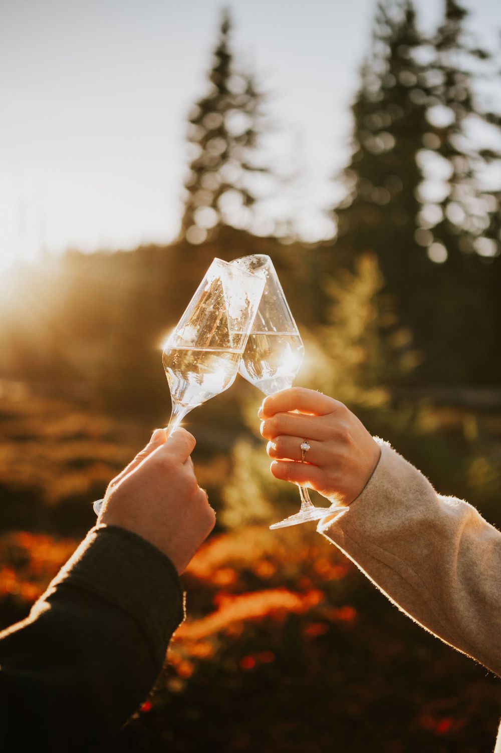 Engagement fall adventure photoshoot on Mt. Washington of couple doing cheers with champagne in Paradise Meadows Vancouver Island