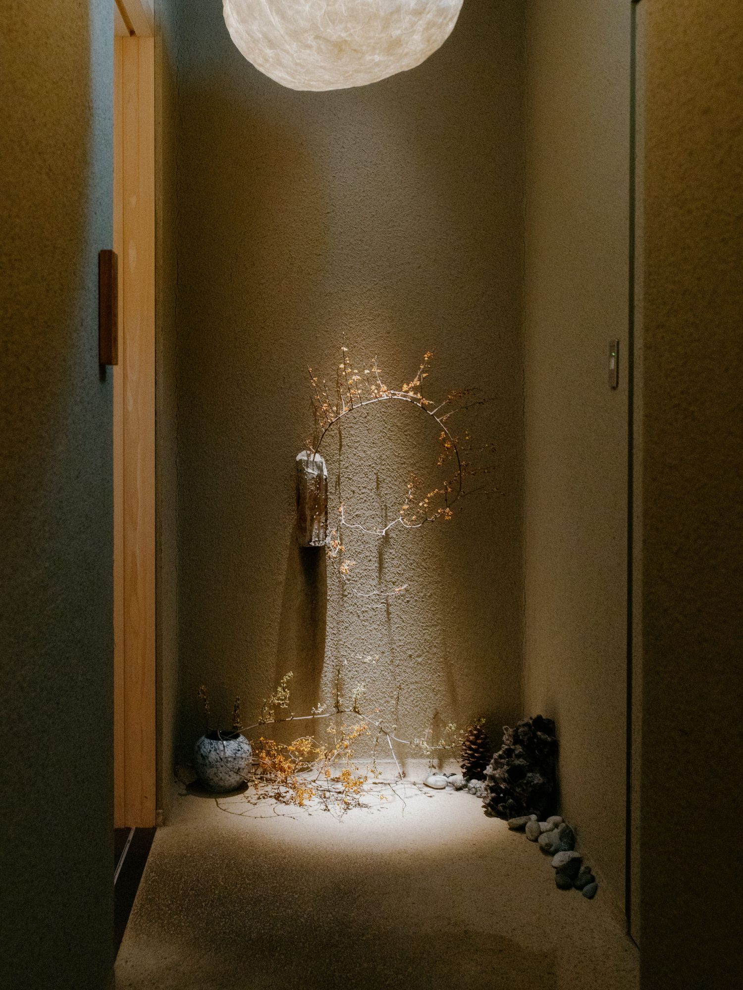 Artistic hallway with moonlight effect and dried branches creating dramatic shadows.