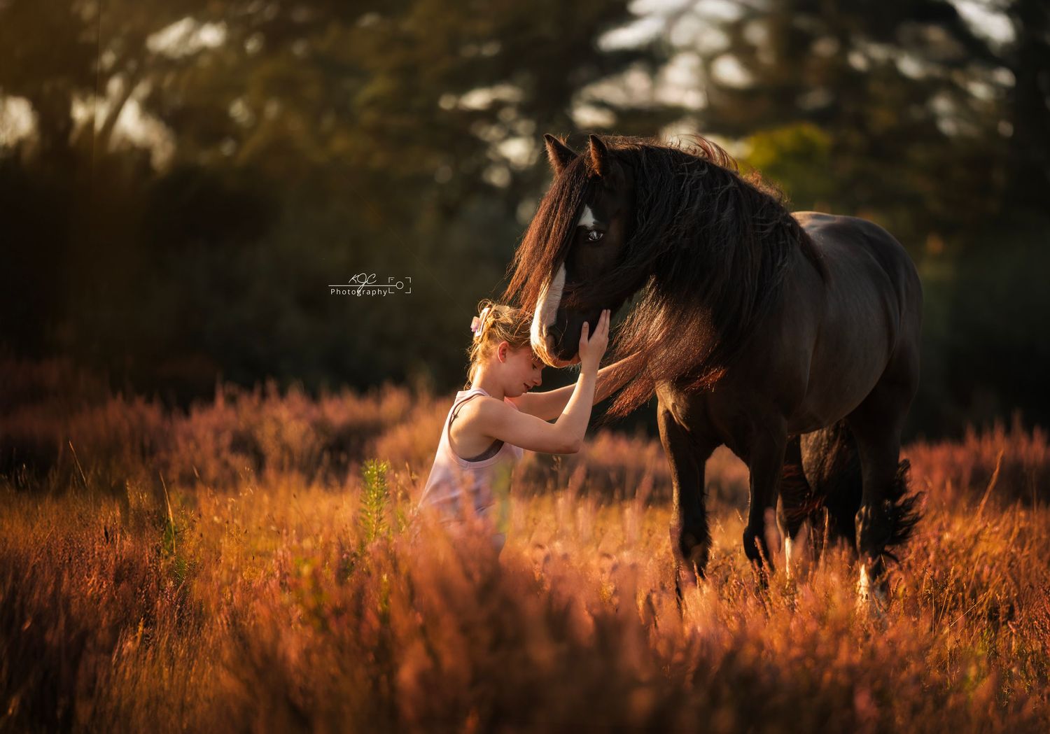 Klein meisje en haar pony tijdens fotoshoot op de heide gedurende het Gouden Uur