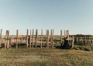 Woman in a black dress standing beside a rustic wooden fence on an open rural farm. Senior grad photos. Graduation photos.