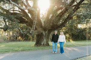 A romantic sunset photo under a large spreading oak tree.