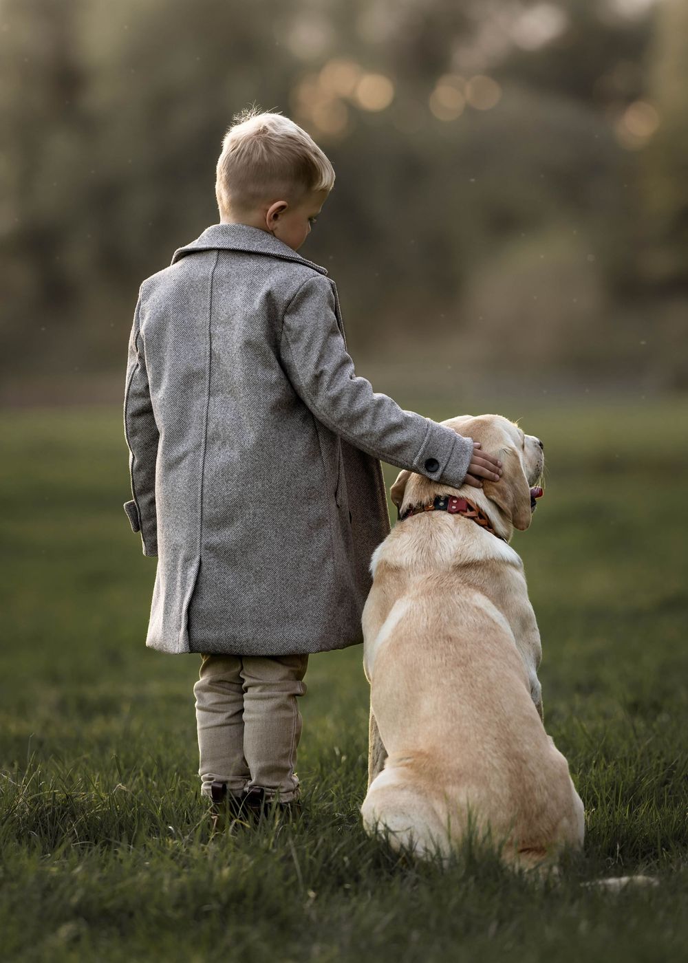 Child in grey coat stands with golden retriever dog in misty park setting.