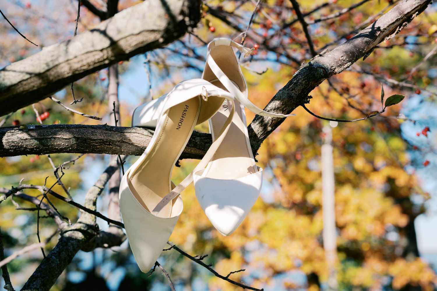 White high heel wedding shoes hanging from a tree branch with autumn foliage in the background.