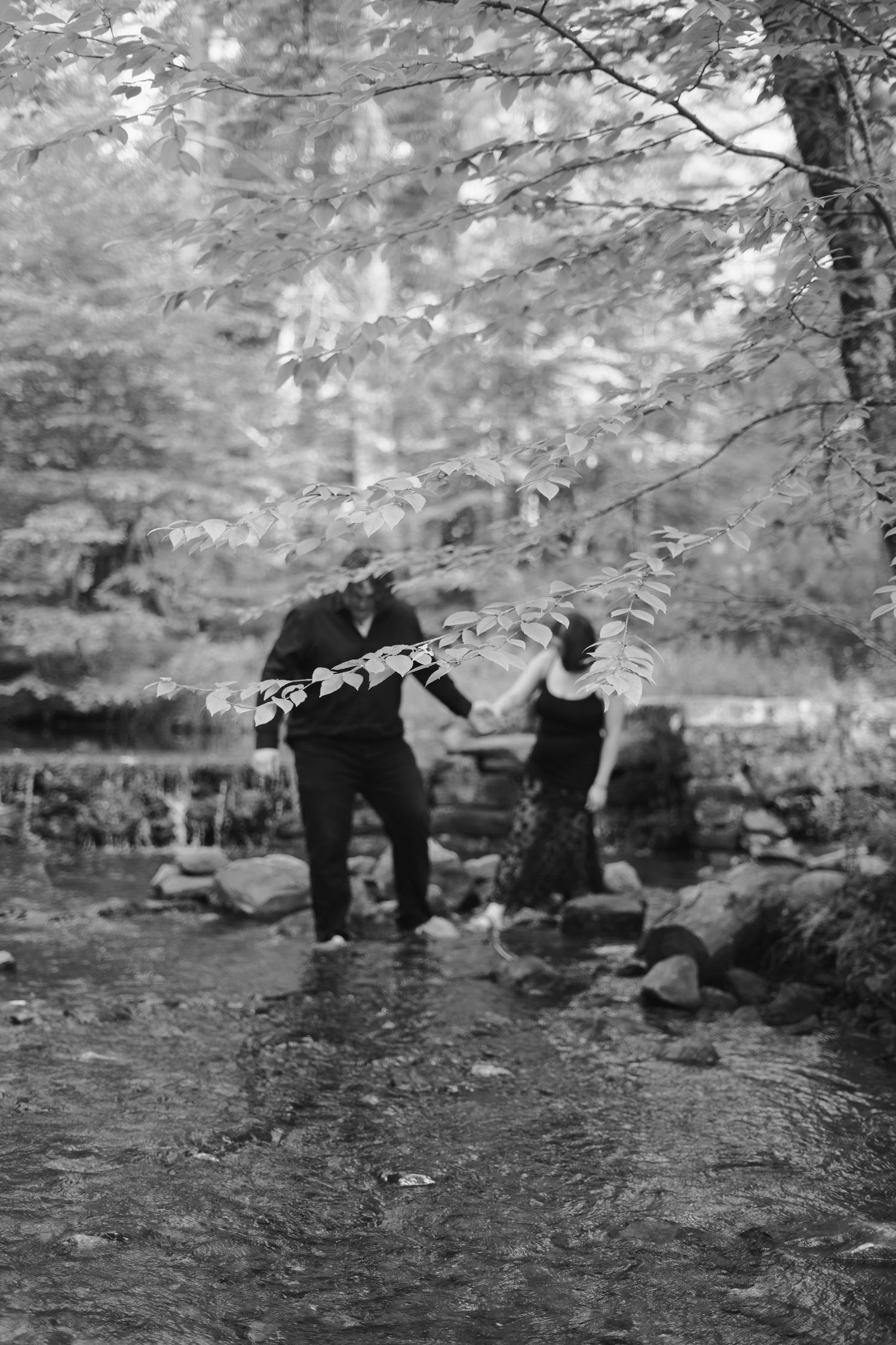 A black and white photo of a couple walking through the woods hand in hand.