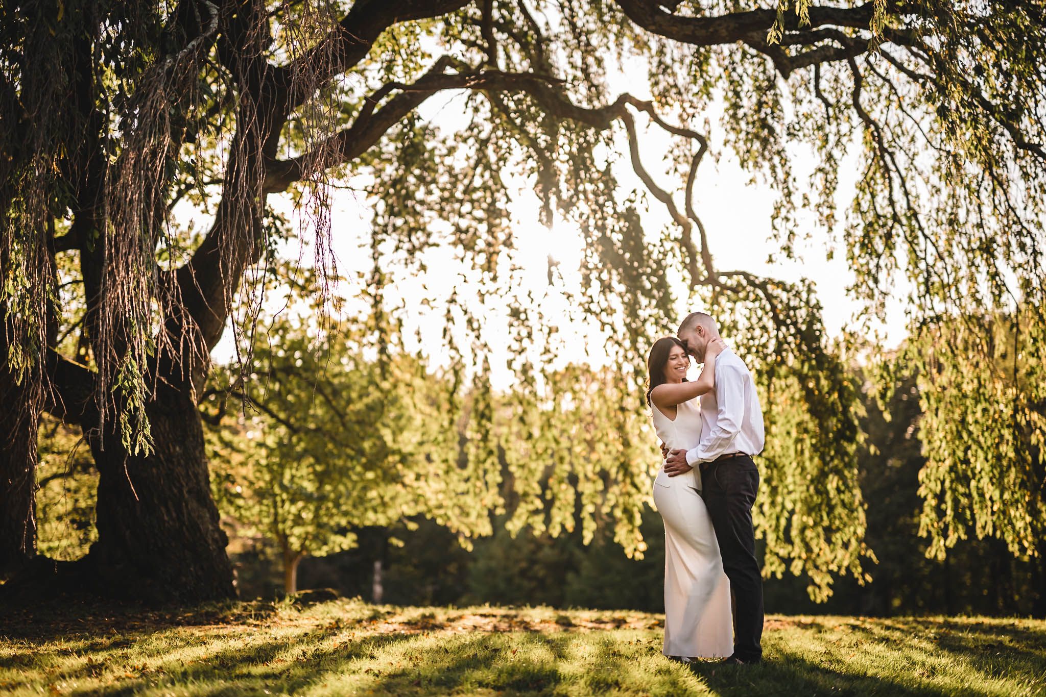 Romantic portraits under weeping willow tree with golden sunlight streaming through.