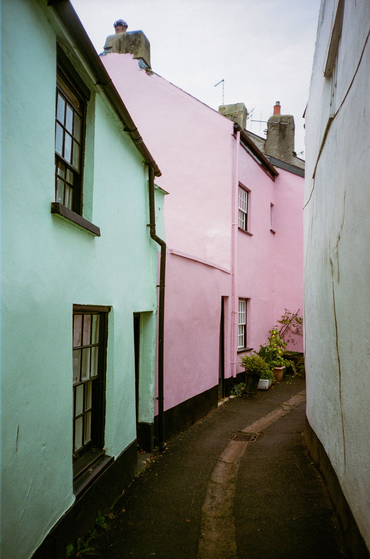 Quaint street with mint green and pink cottages creating a charming residential lane.