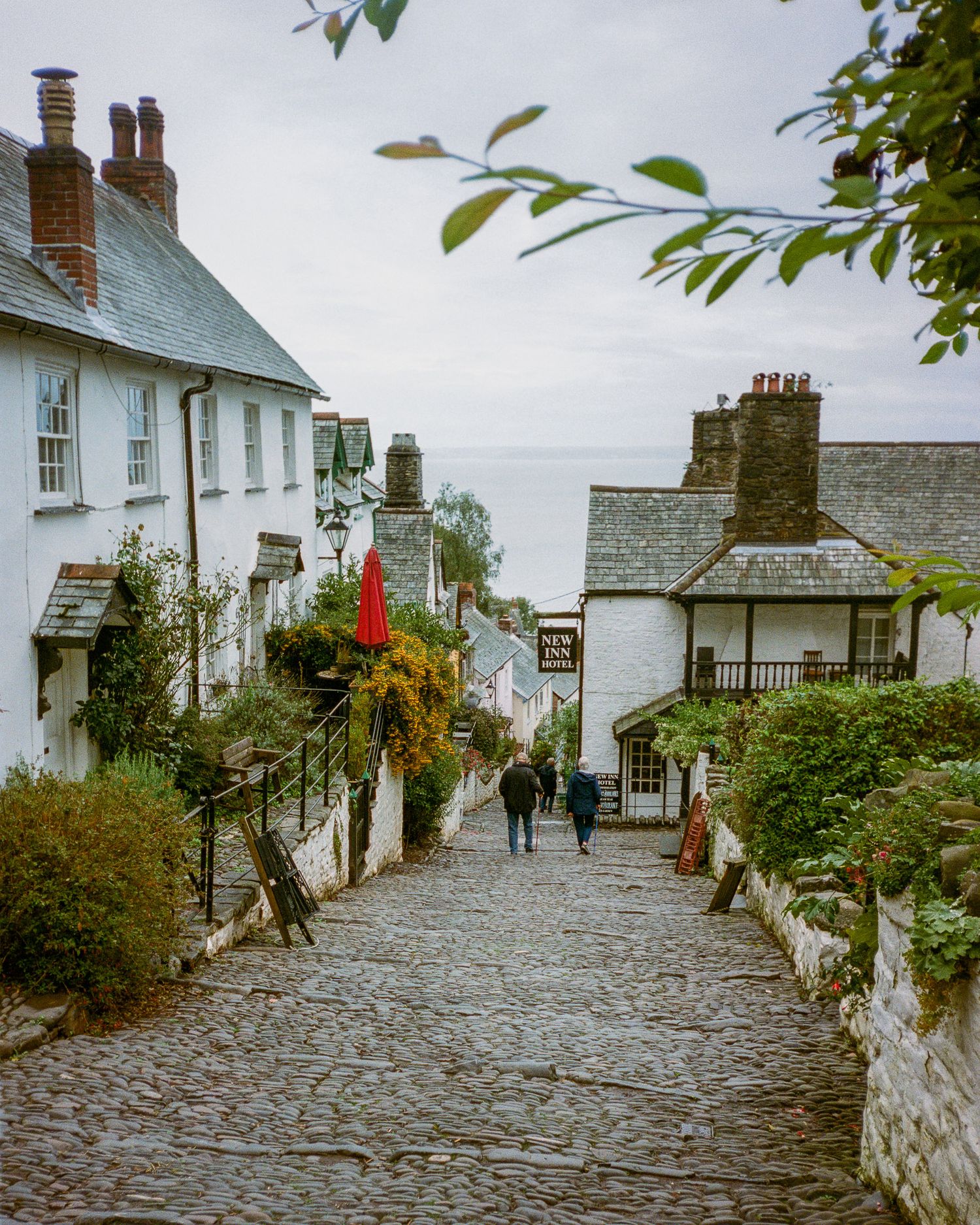 Cobblestone street lined with white cottages and flowering plants in a coastal village Clovelly.