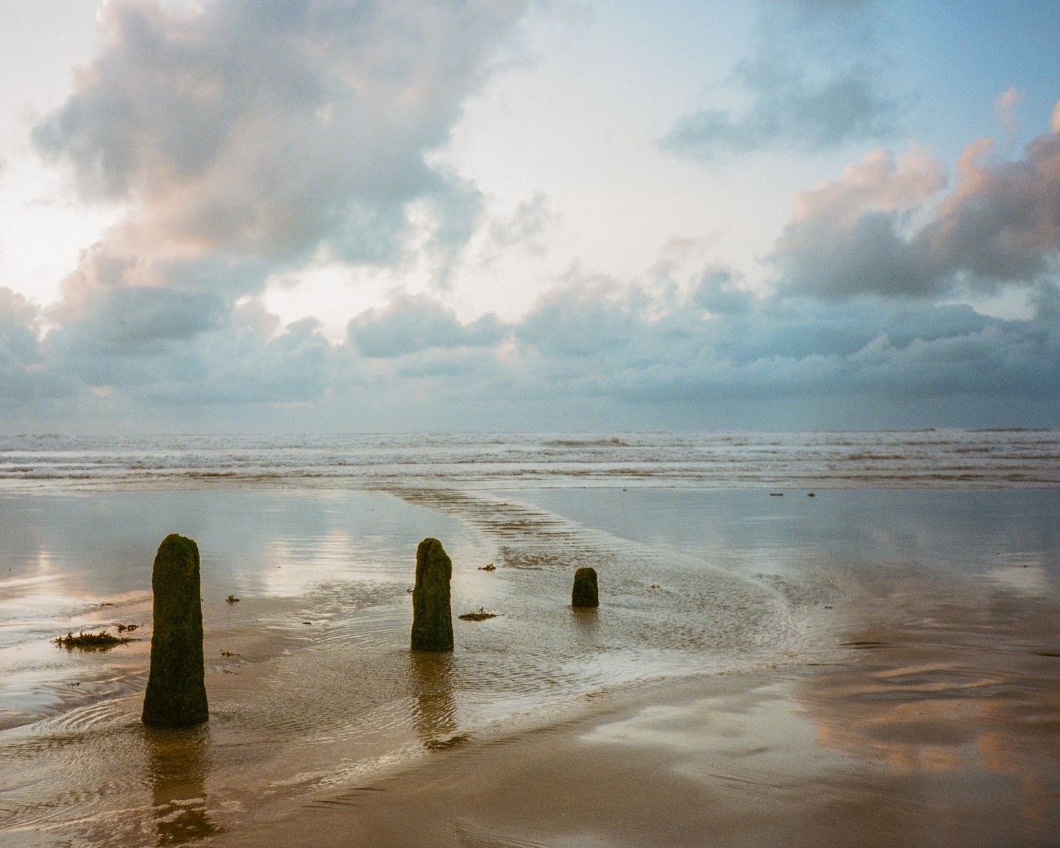 Panoramic view of wooden posts on a misty beach at sunset Westward Ho!