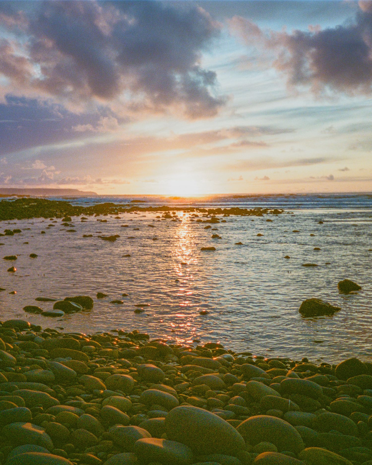 Sunset over rocky beach with moss-covered stones and golden reflections on water. Westward Ho!