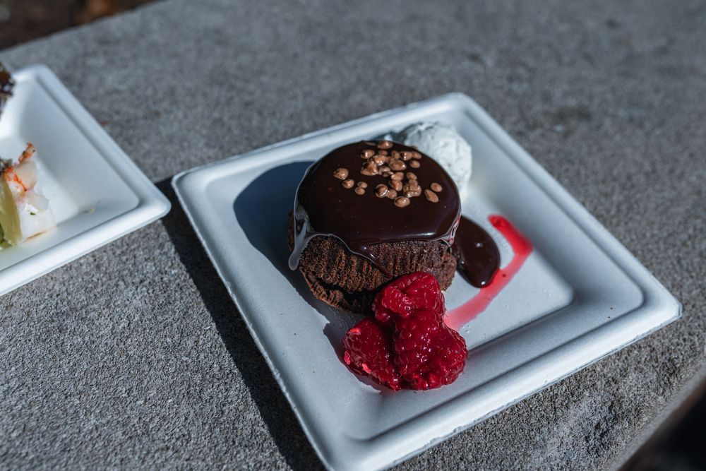 A chocolate truffle dessert with fresh raspberry garnish is elegantly plated on a white rectangular dish.