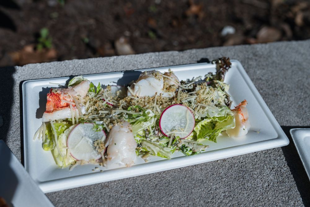 Fresh spring rolls served on a white rectangular plate with shredded lettuce and sliced radish garnish.