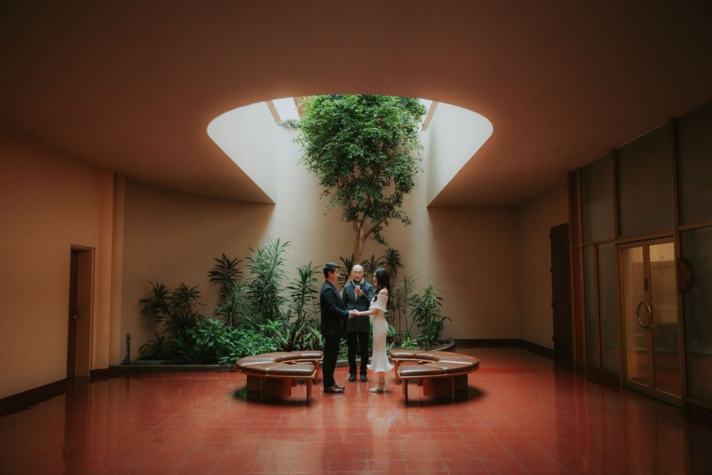 A dimly lit corridor with potted plants and warm lighting creates a moody architectural atmosphere.