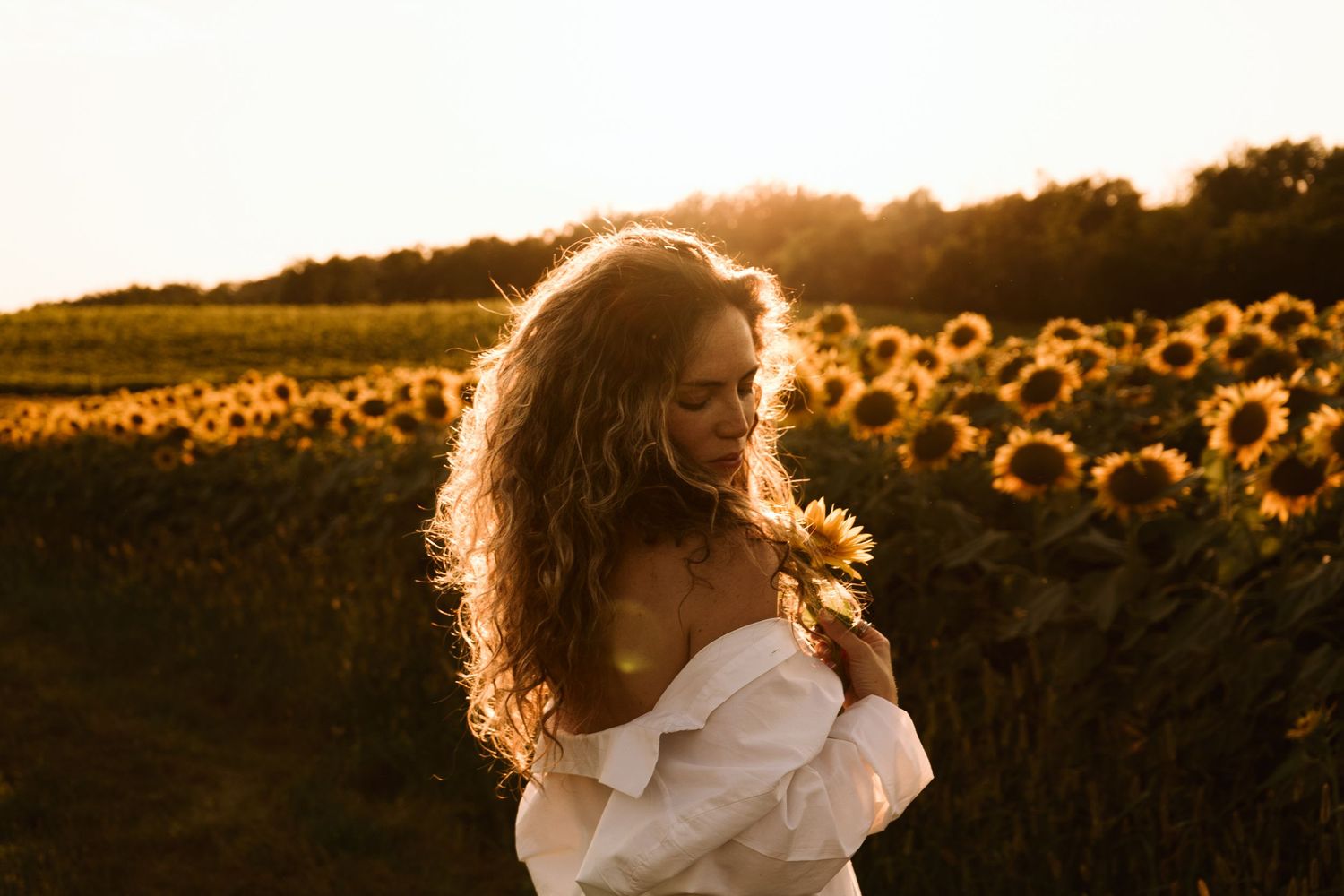La luce dorata del sole al tramonto illumina una bellina ragazza in un campo di girasoli al tramonto in Piemonte in provincia di Alessandria