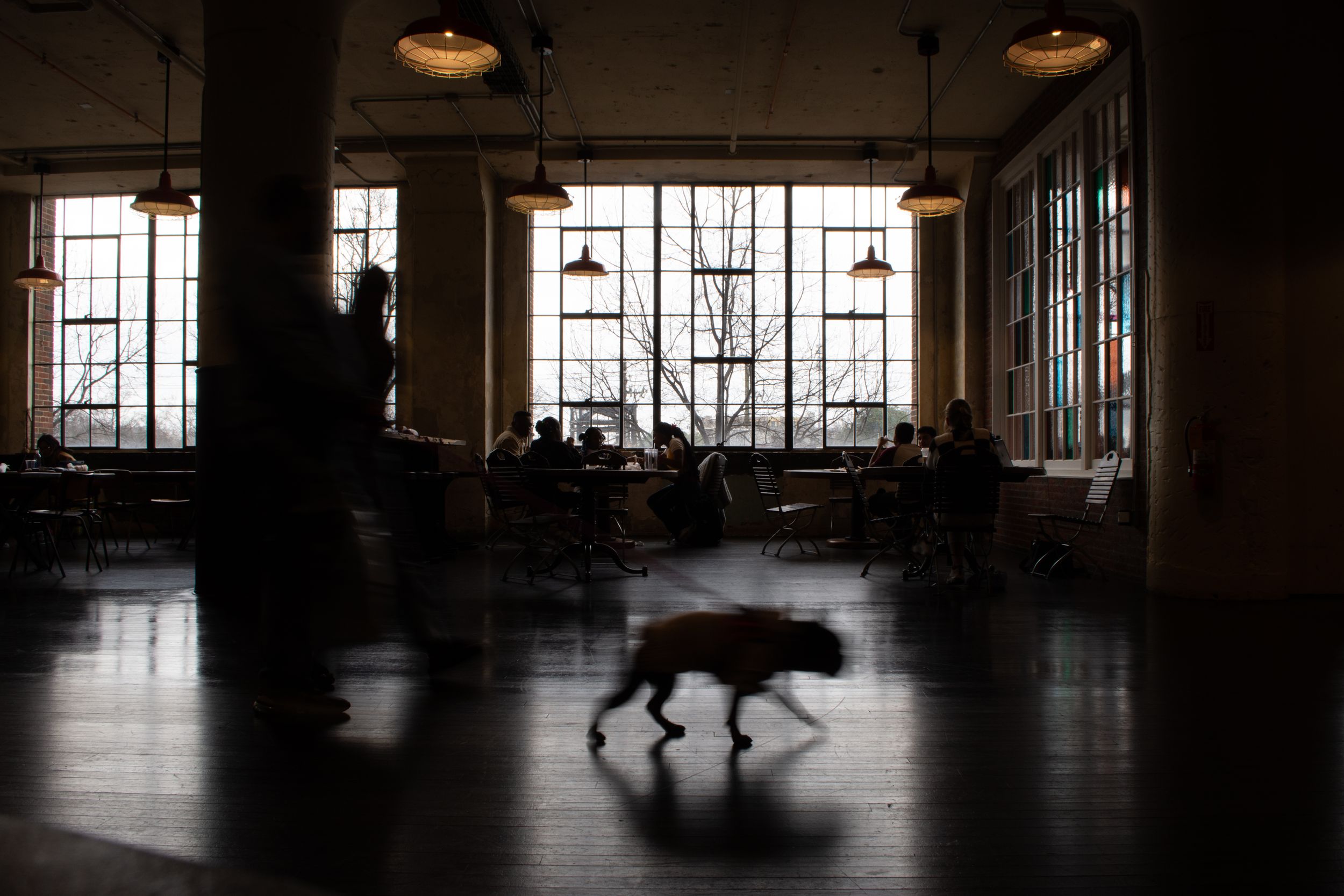 Dramatically lit photo in Ponce City Market (ATL), capturing light and a dog in motion. Captured for branding purposes.