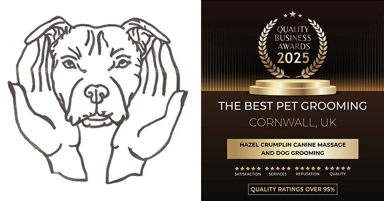 piratedog.co.uk, behaviourist, dog, groomer, recommendation