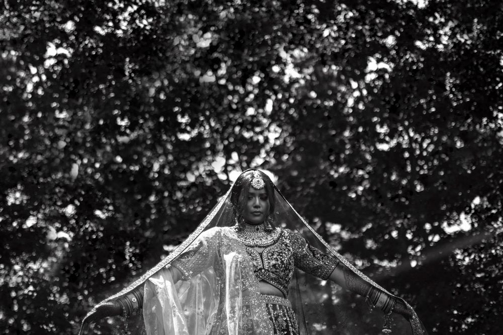 Black and white photo of bride in embellished gown with veil spread wide beneath lush trees.