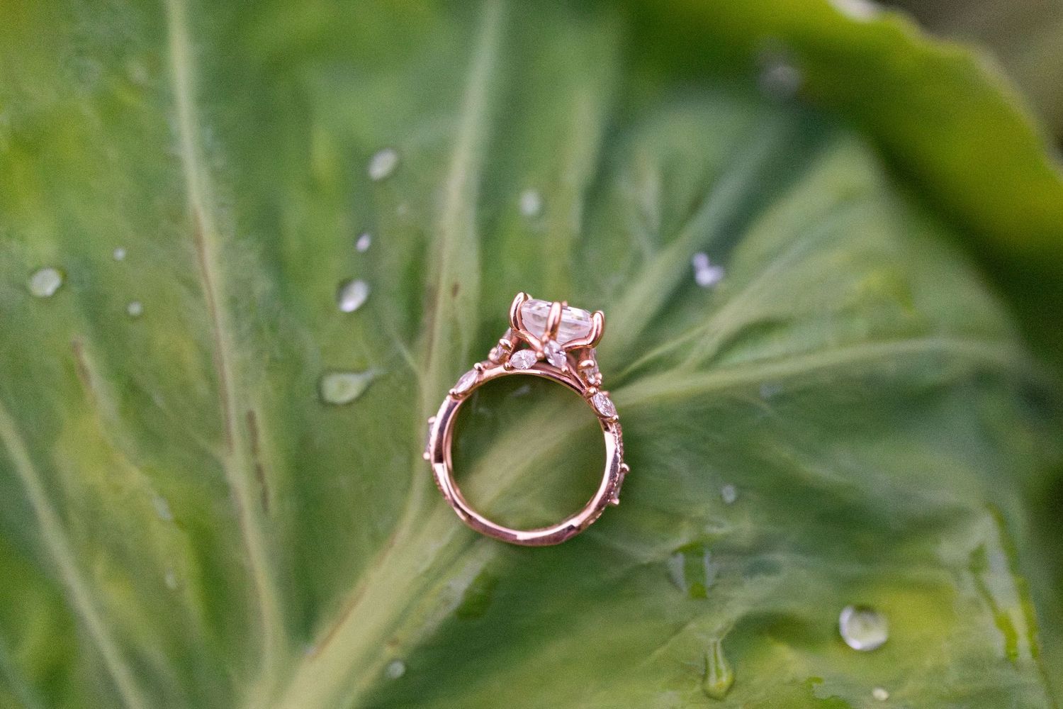 Rose gold diamond engagement ring resting on a green leaf with water droplets in a garden setting.