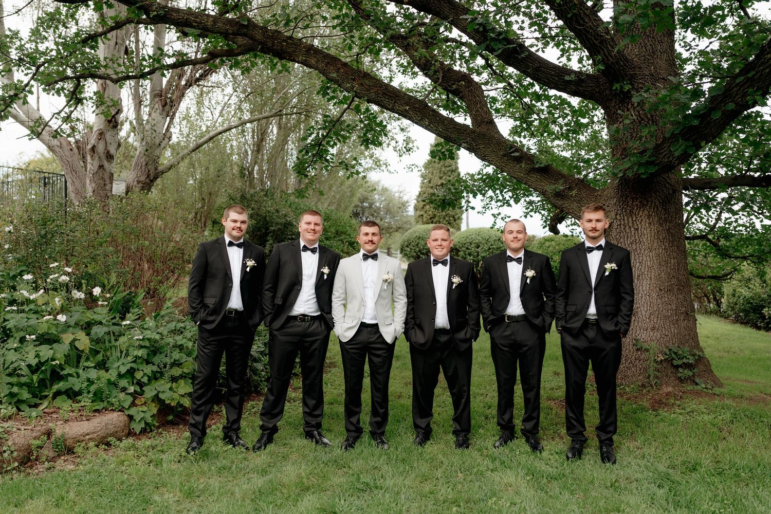 Six groomsmen in black tuxedos with bow ties pose outdoors under a large tree at a wedding.