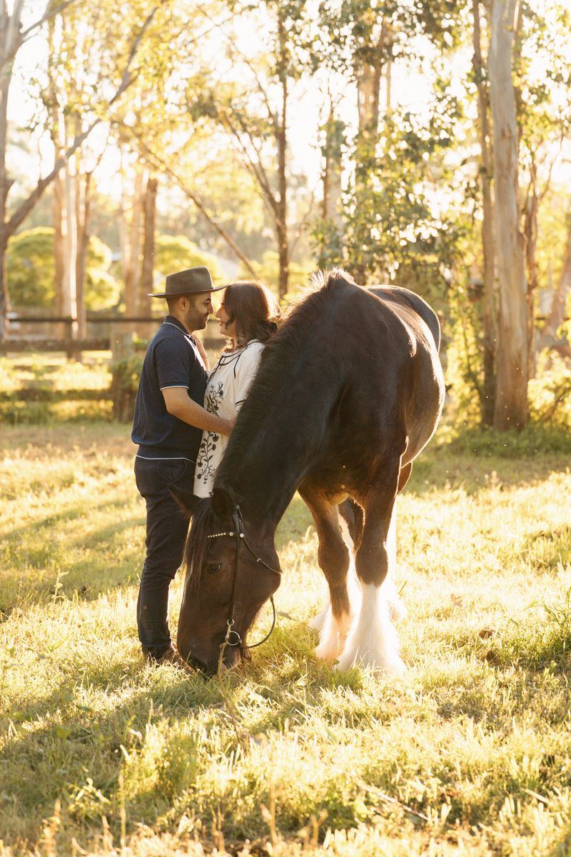 Couple sharing a romantic moment beside a brown horse in a sunlit field surrounded by trees during a couples photoshoot in sydney hills