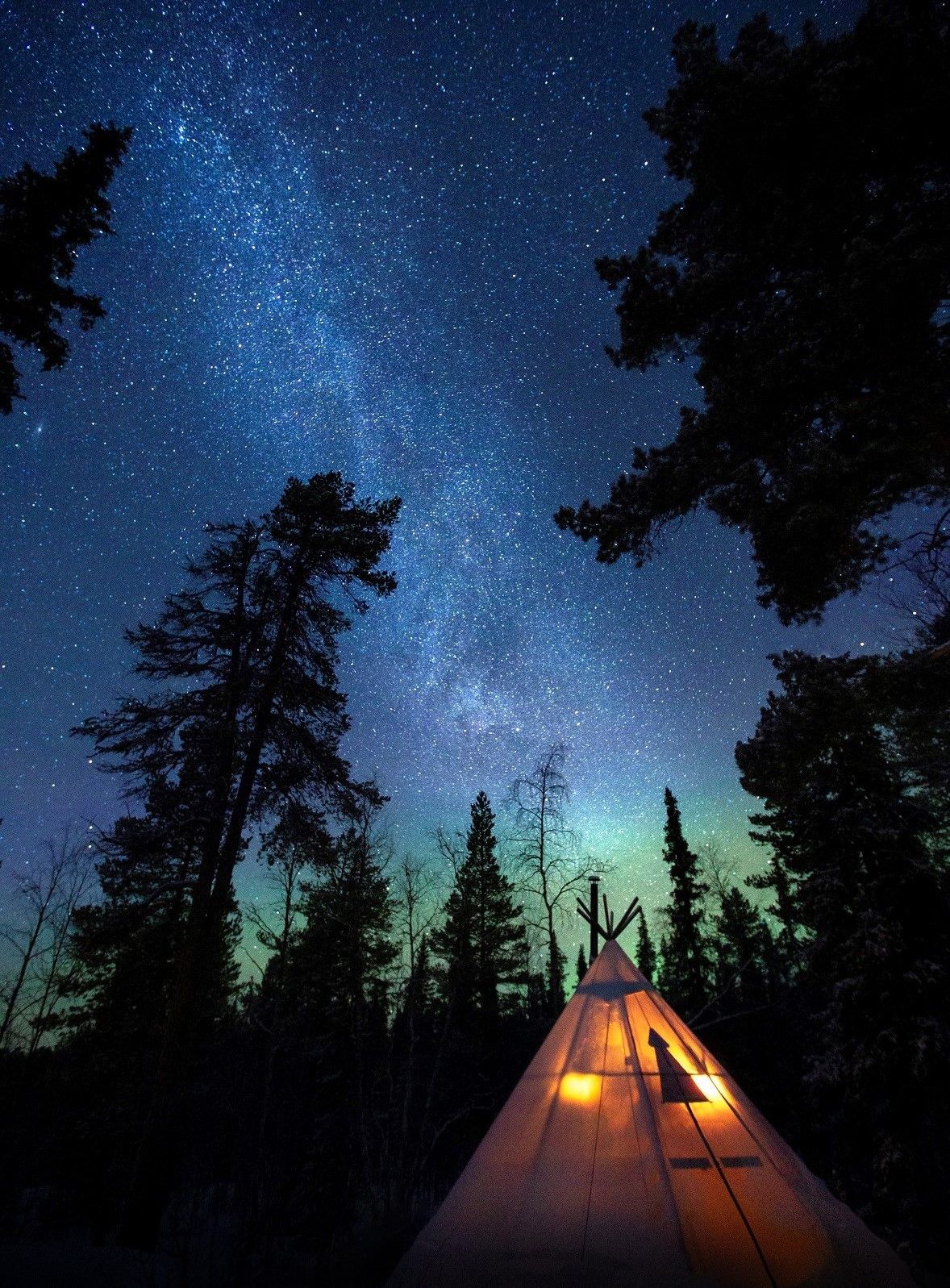 Glowing teepee tent beneath a stunning Milky Way and northern lights sky framed by tall forest trees.