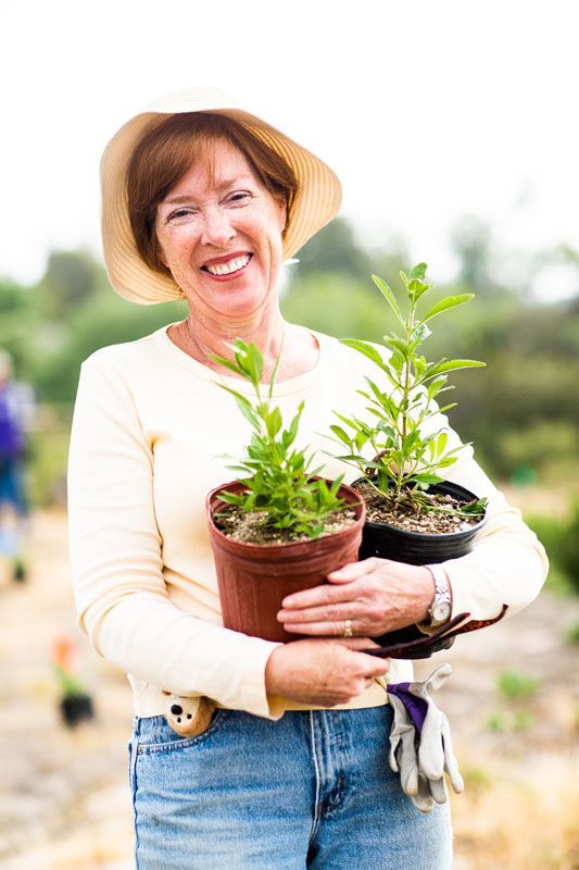 Smiling senior woman in straw hat holding two potted green plants while gardening outdoors on a sunny day.