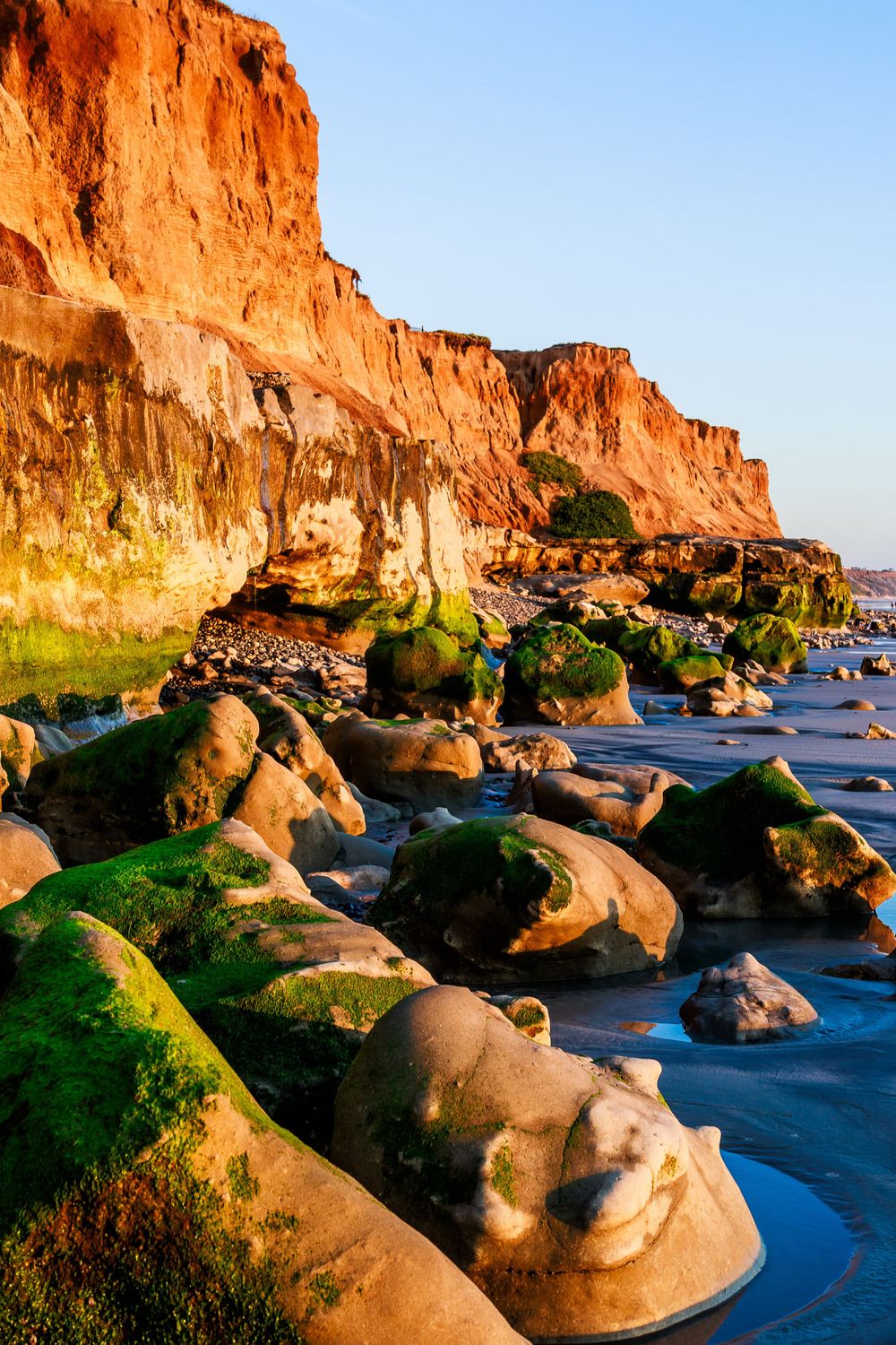 Rocky coastline with moss-covered boulders at the base of towering red sandstone cliffs bathed in warm golden sunlight.