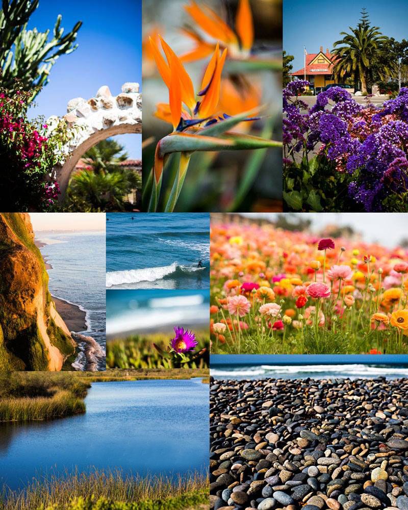Vibrant collage of coastal California scenery featuring tropical flowers, ocean waves, lush gardens, and smooth river stones.