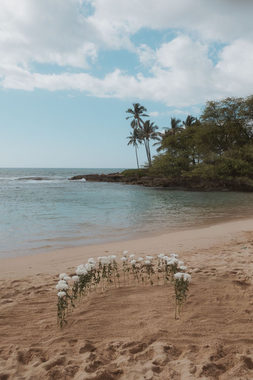 Palm trees line a tropical beach with white sea shell decorations laid out in rows on the sand near the shoreline.