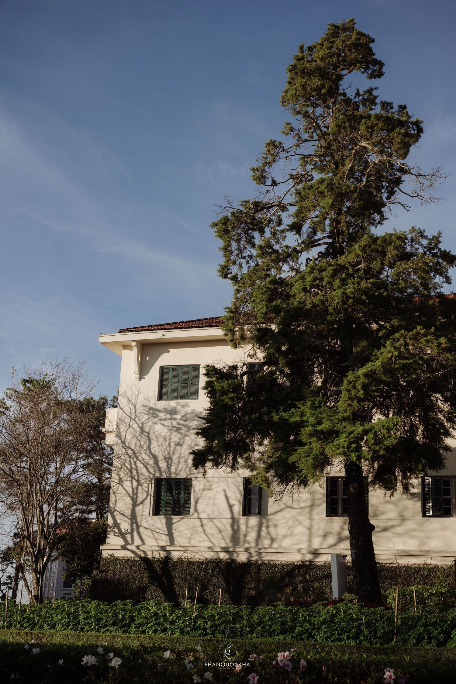 White colonial-style house with large tree casting shadows on the facade under a blue sky.