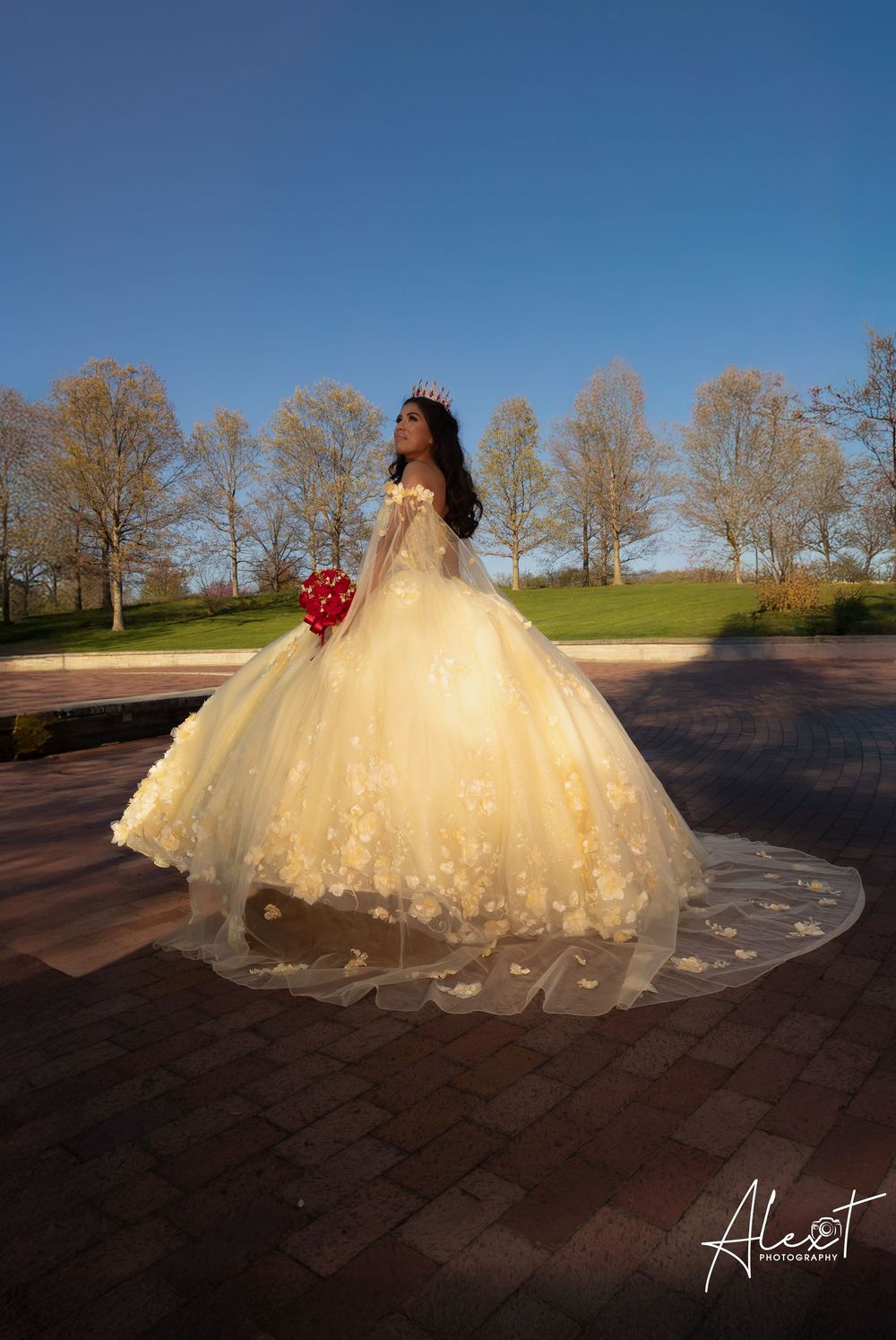 Full-length XV portrait of Aileen in a yellow dress with a red rose. High-end Quinceañera photography in Waukegan by Alex T.