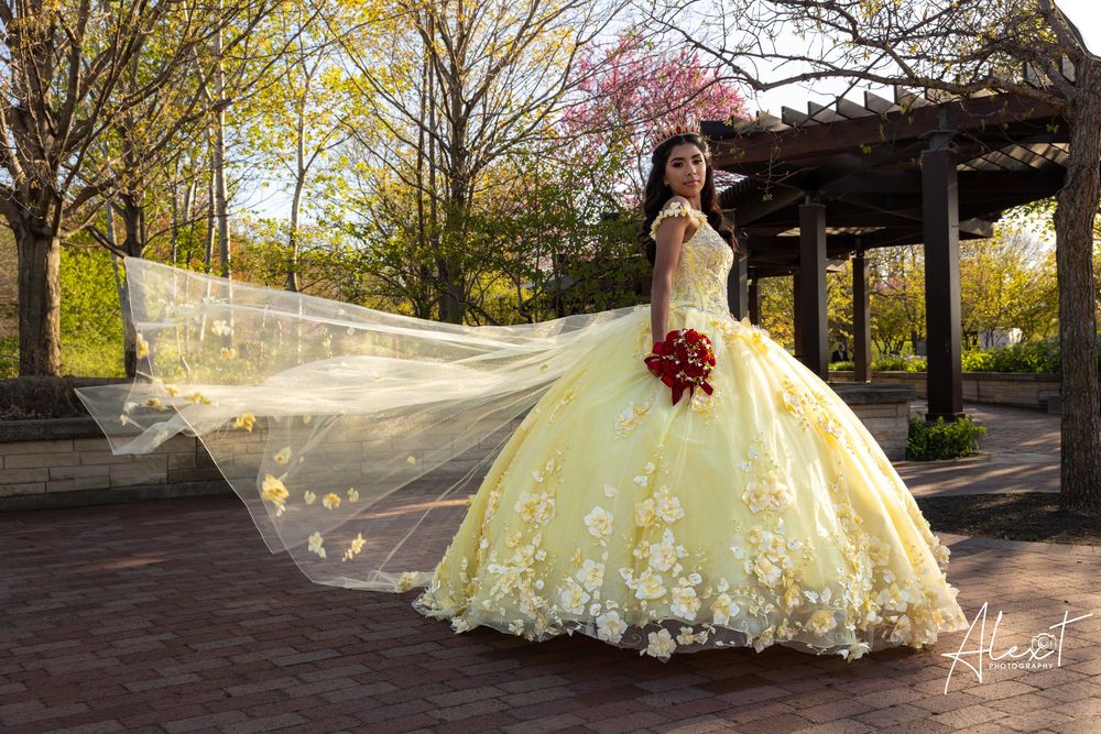 Aileen’s Quinceañera portrait at Independence Grove Park. Beautiful yellow XV dress with long train captured at sunset by Alex T.