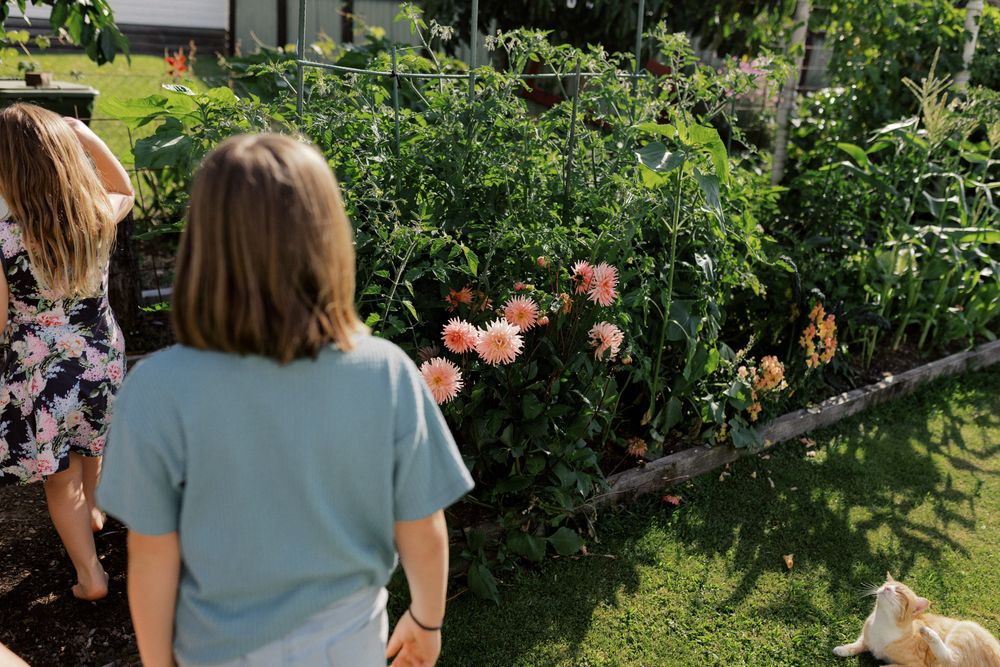 People gathered around lush plants in a sunny garden harvesting vegetables and herbs.