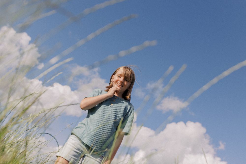 Tall green grass swaying against a bright blue sky with puffy white clouds on a summer day.