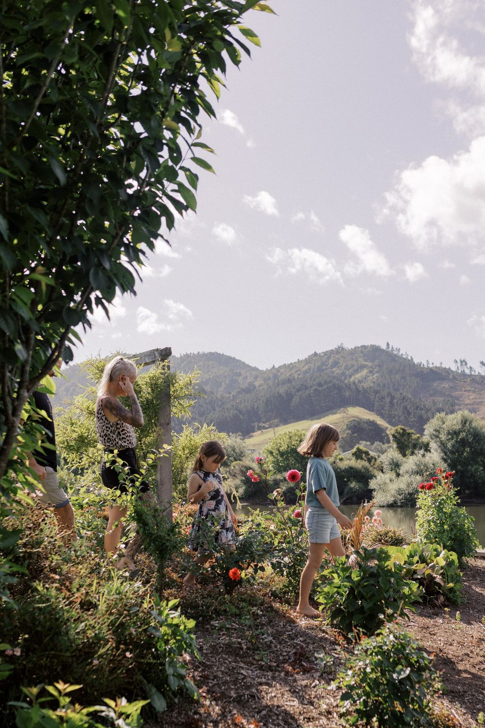 People gathering flowers in a sunny garden with mountains visible in the background against a bright sky.