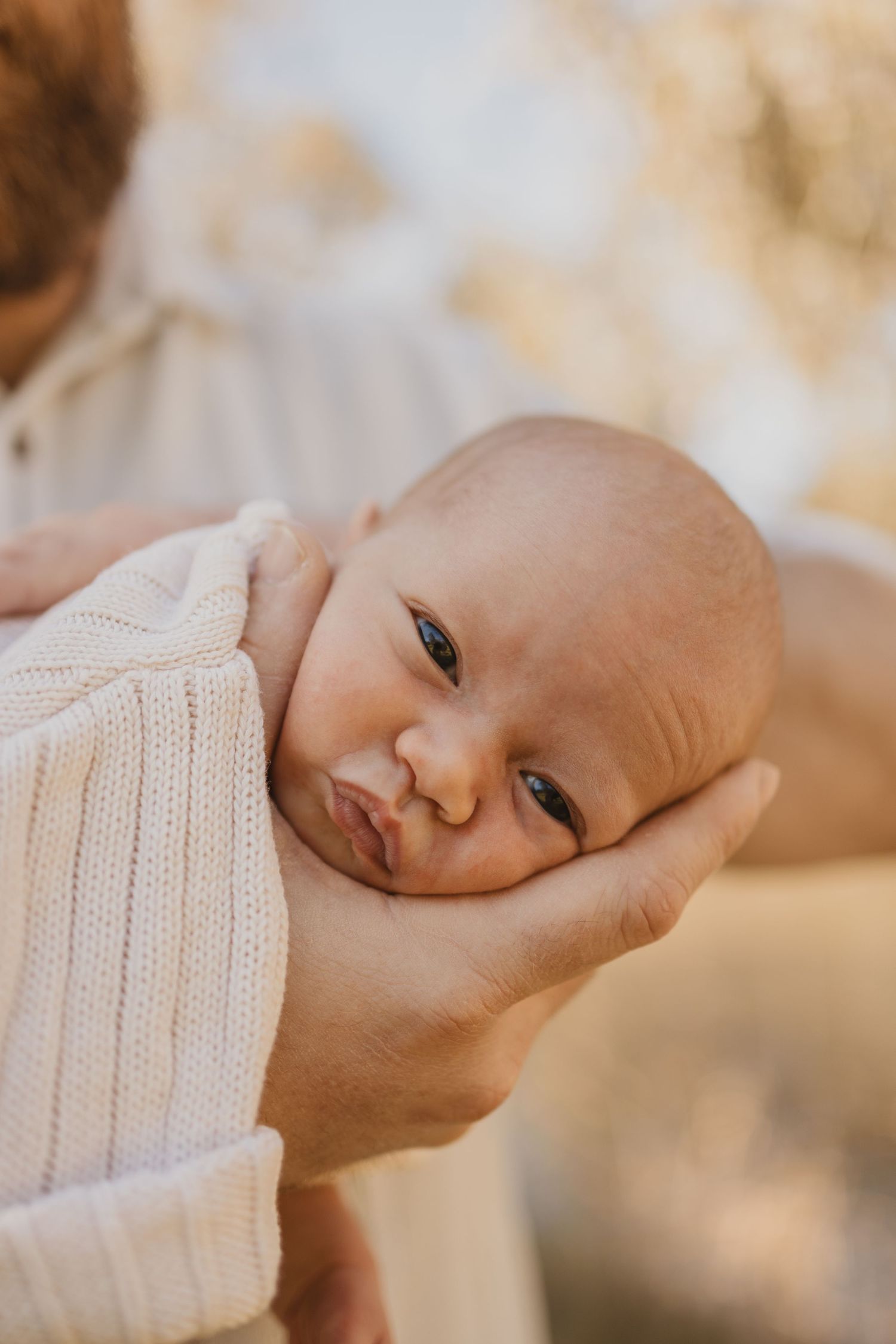 Geelong Lara Torquay Ocean Grove Barwon Heads newborn maternity pregnancy family motherhood couples photographer photography photoshoot
