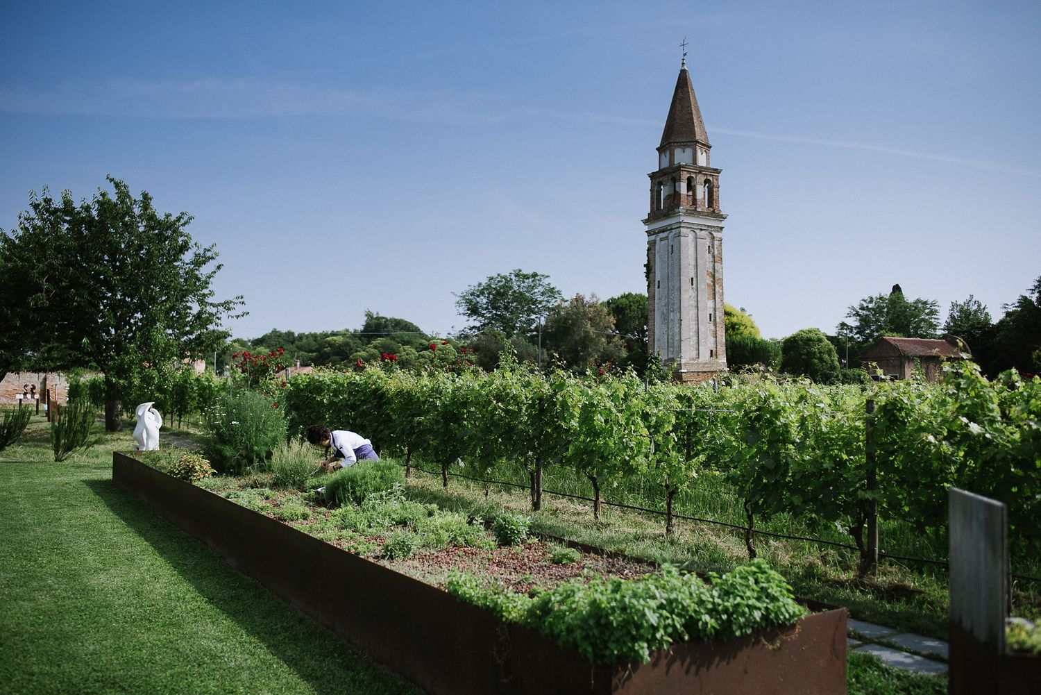 Rural landscape with church steeple visible among green fields and trees.