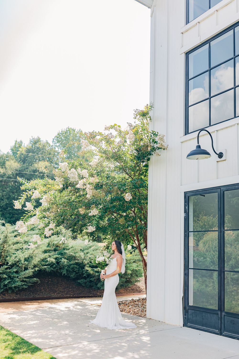 Bridal Portrait shown near Crepe Myrtle against modern architecture white Barn with black-framed windows and greenery at Barn South Venue