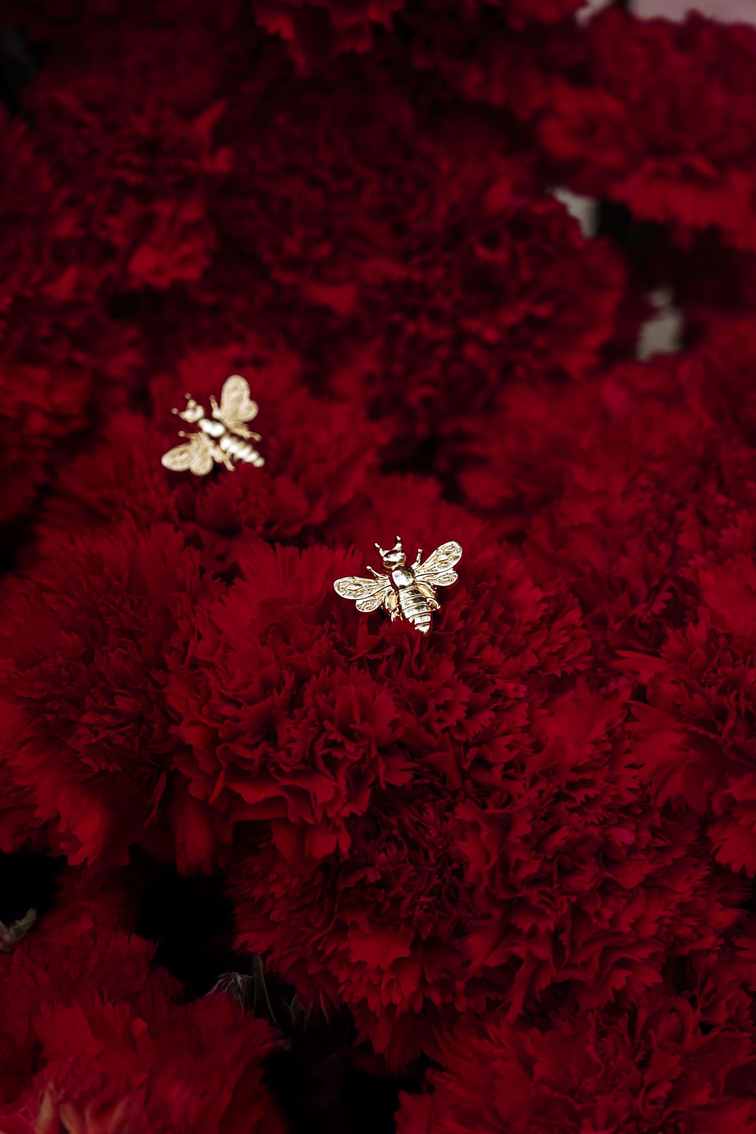 Two gold bee brooches rest delicately on a bed of deep red carnation flowers.