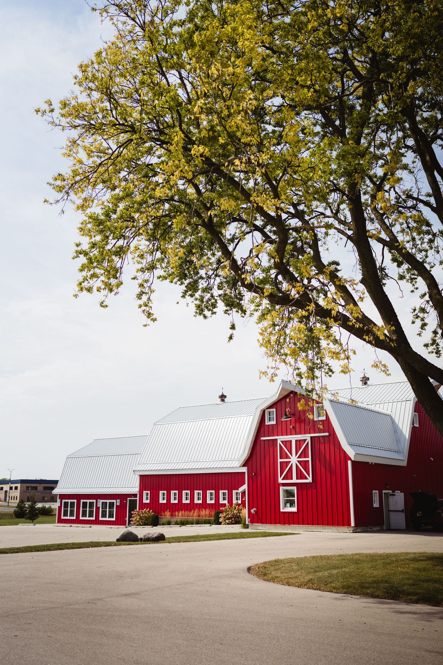 A series of five red barn buildings with white trim arranged in a row under autumn trees casting shadows.