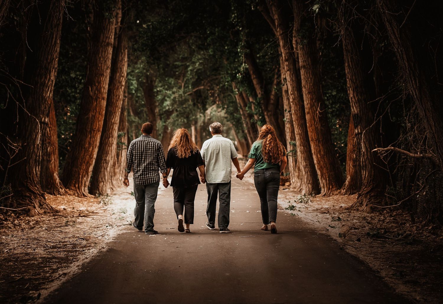 Silhouettes of people walking together on a tree-lined path through a dark forest.