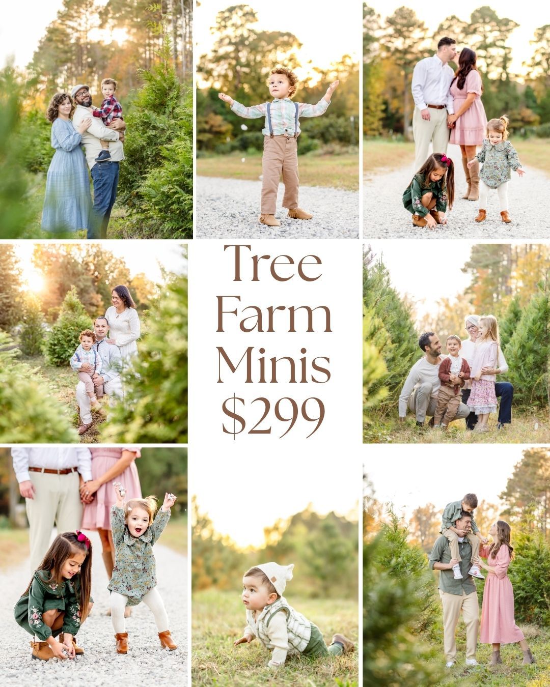 Fall minis photography sessions will be held in Colonial Williamsburg and Jamestown, Virginia. Cottage garden, beach, and meadow options.