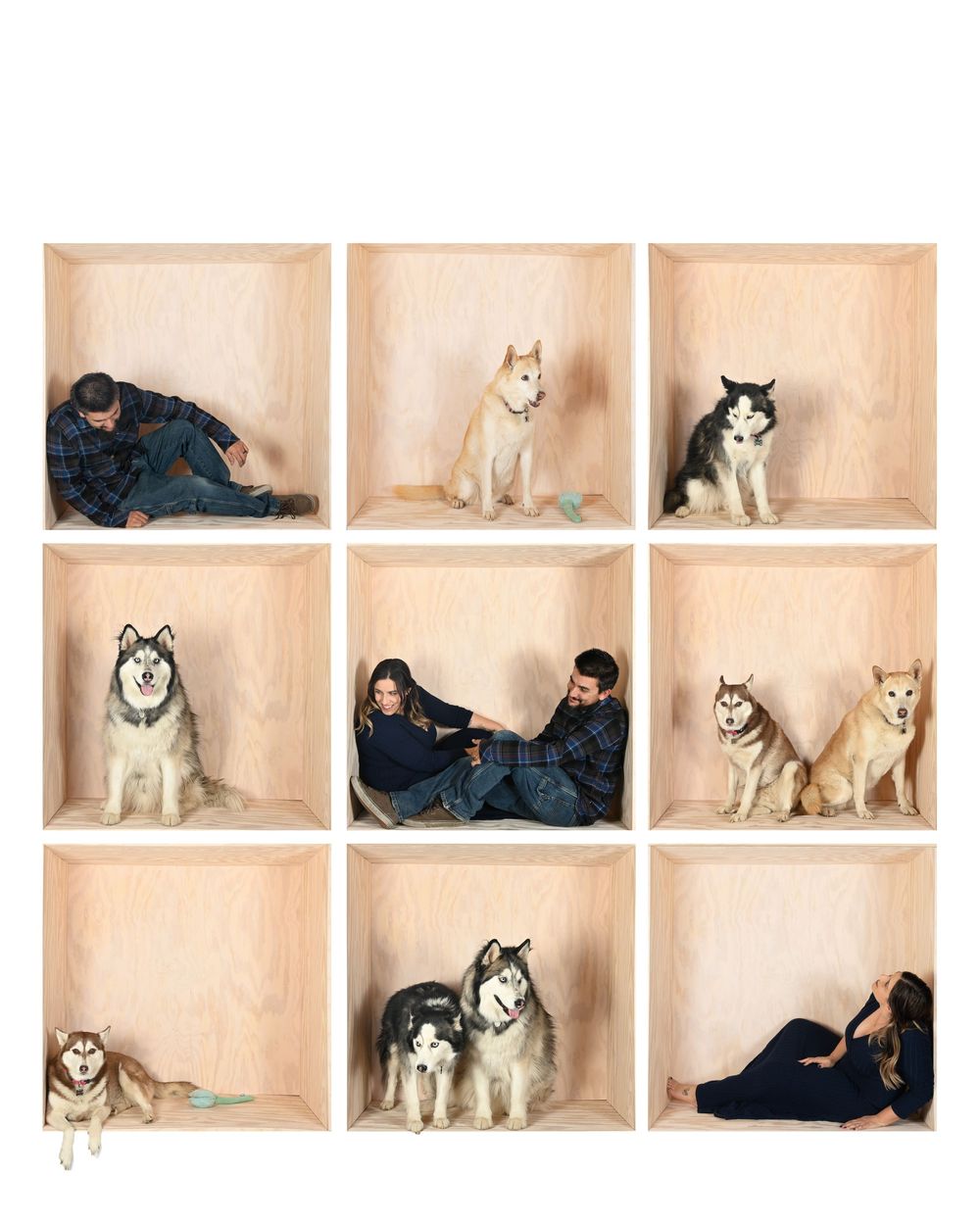 A series of connected box shelves displaying Husky dogs and people in a minimalist artistic composition.