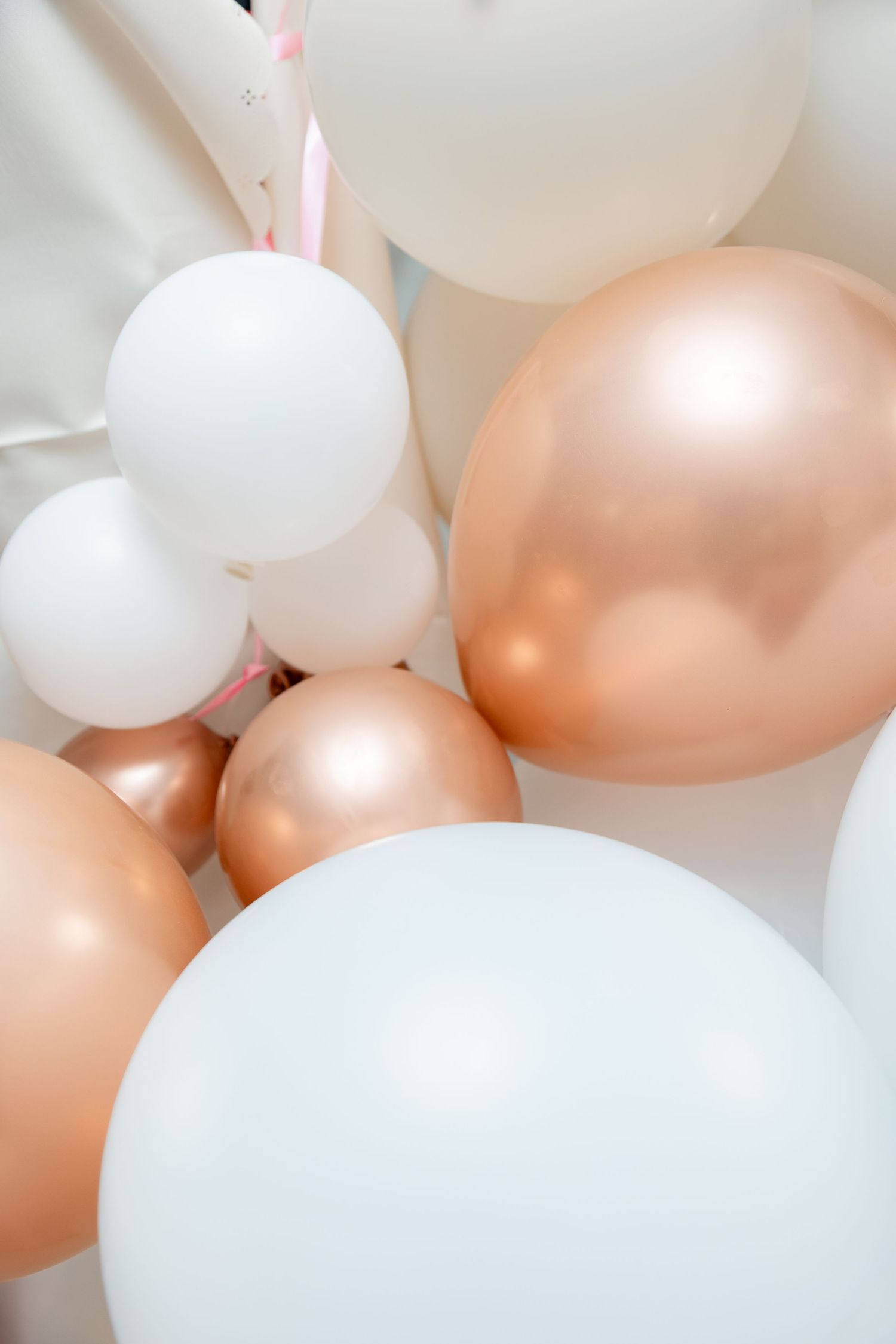 Event photographer in Potchefstroom & Gauteng. Capturing celebrations and connections. Graduation, Baby Shower, Kitchen Tea, Birthdays